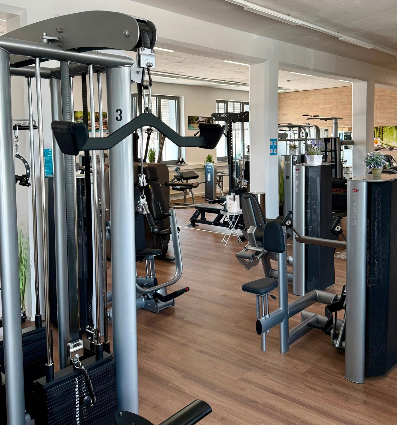 Trainingsfläche in unserem Studio in Meßkirch