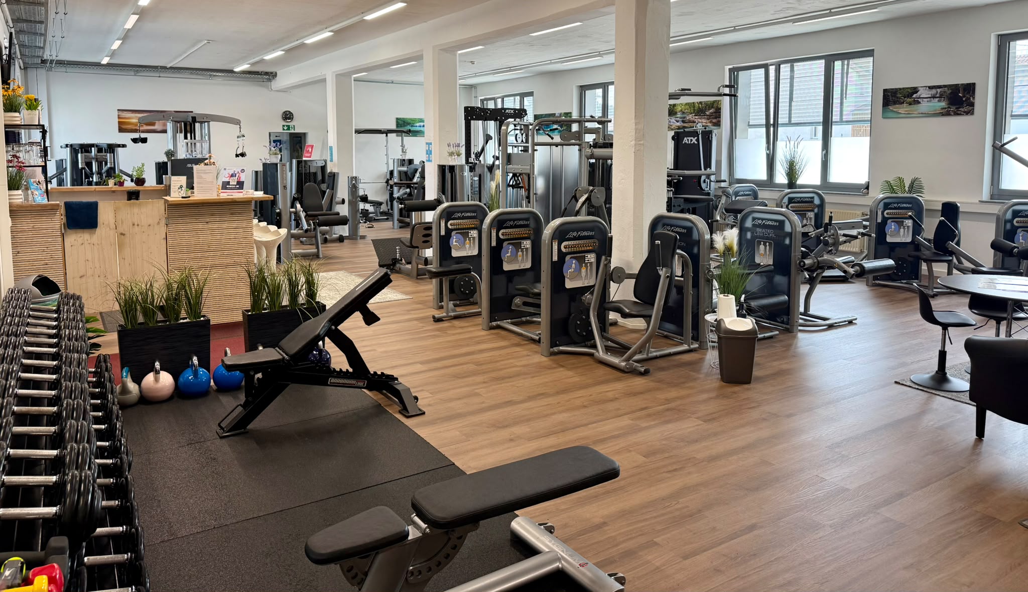 Geräte- und Freihantelbereich im SohFit-Studio